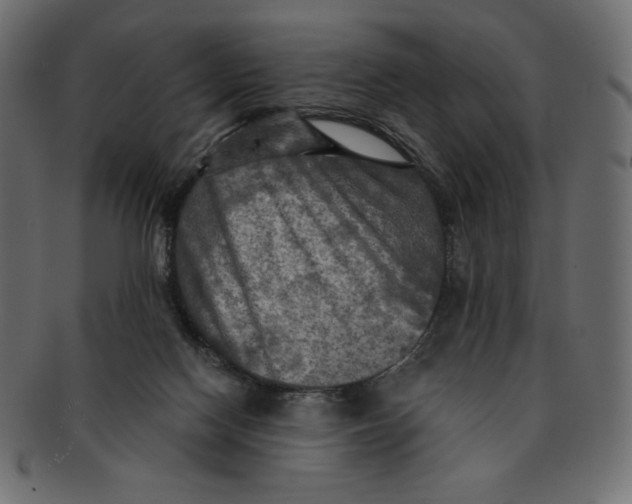 X0000091910074200710031027