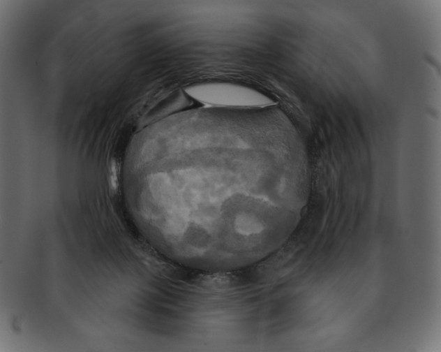 X0000091910075200710031027