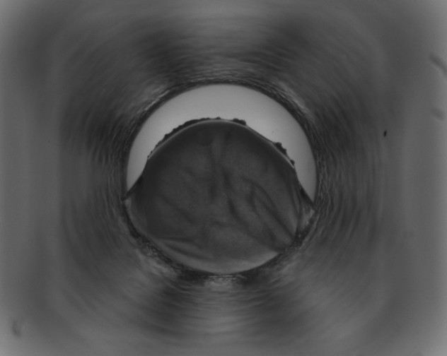 X0000091910076200710031027