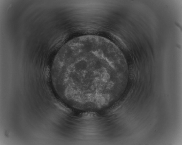 X0000091910077200710031027