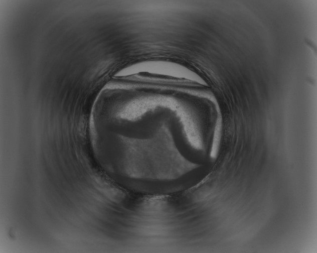 X0000091910078200710031027