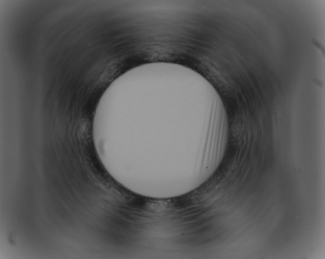 X0000091910079200710031027