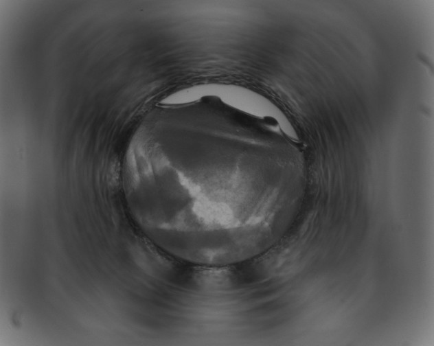 X0000091910081200710031027