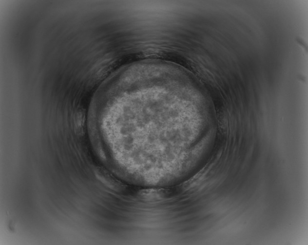 X0000091910082200710031027