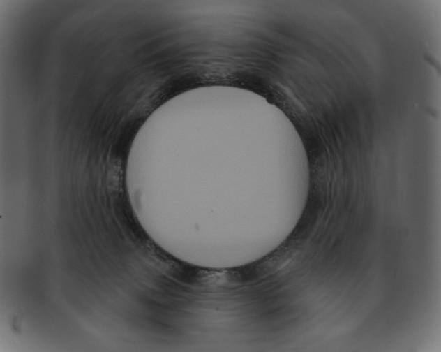 X0000091910083200710031027