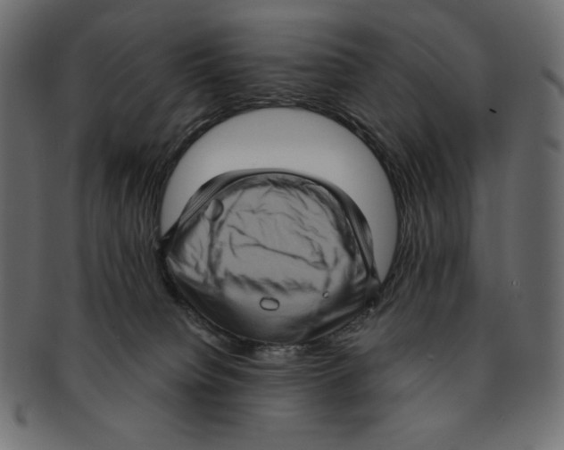 X0000091910084200710031027