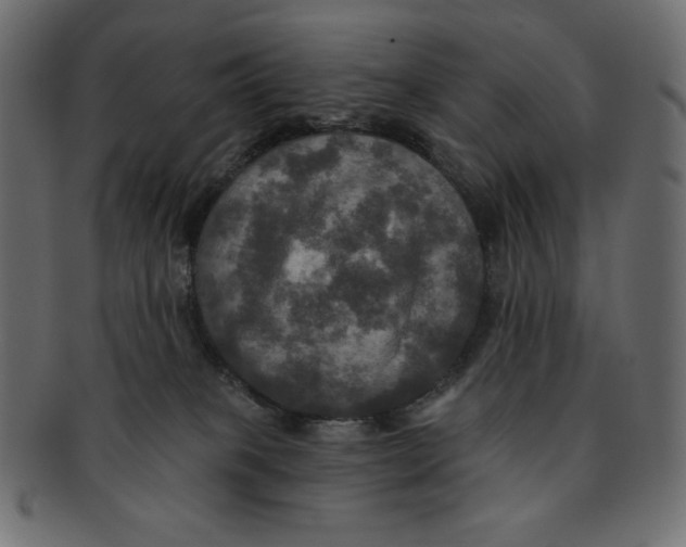 X0000091910085200710031027