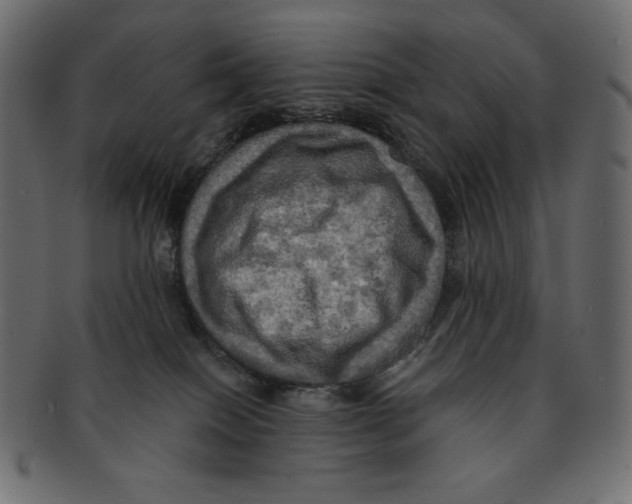 X0000091910086200710031027