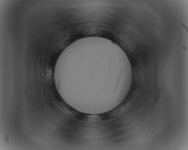 X0000091910087200710031027