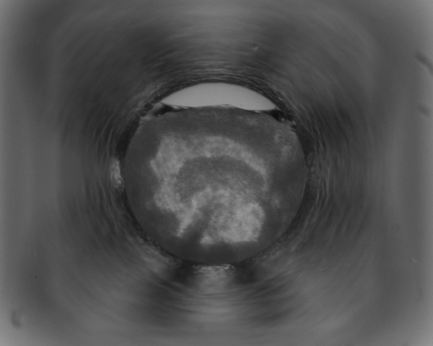 X0000091910089200710031028