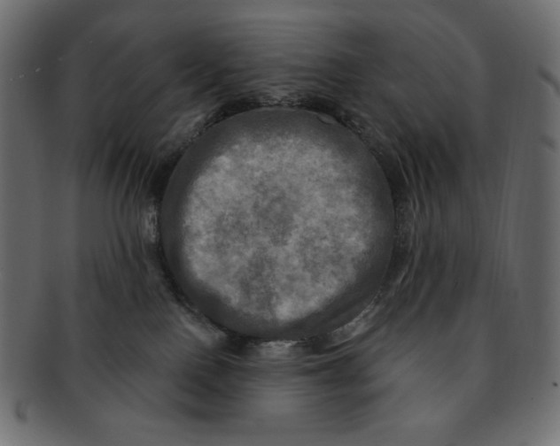 X0000091910090200710031028