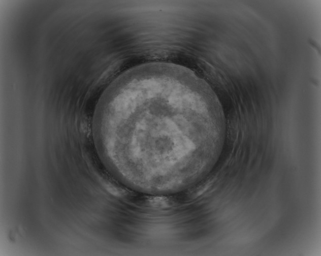 X0000091910091200710031028