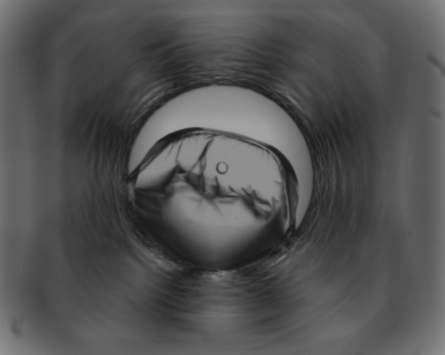 X0000091910092200710031028