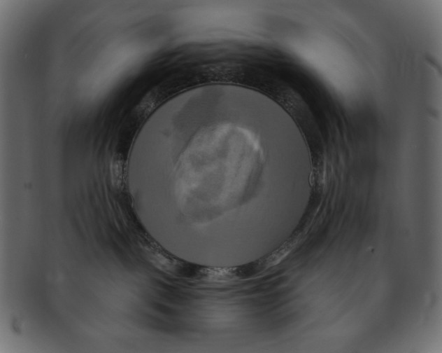 X0000091910093200710031028