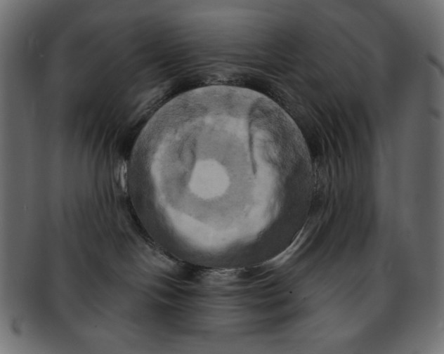 X0000091910094200710031028