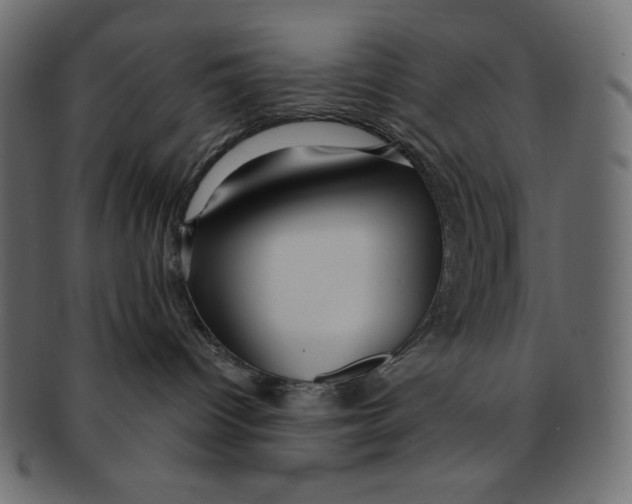 X0000091910096200710031028