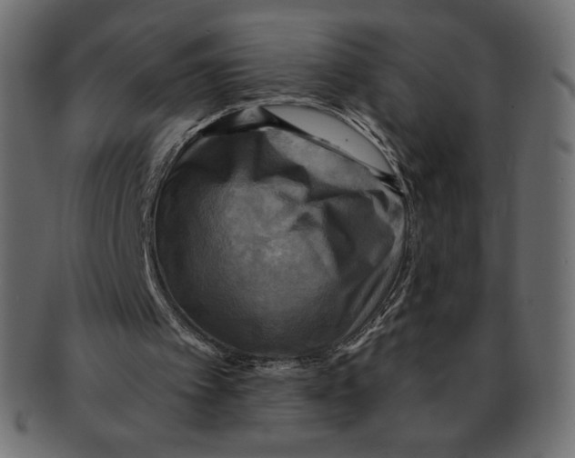 X0000091910097200710031027