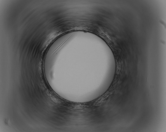 X0000091910098200710031027