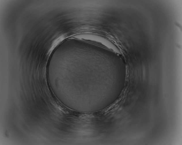 X0000091910099200710031027