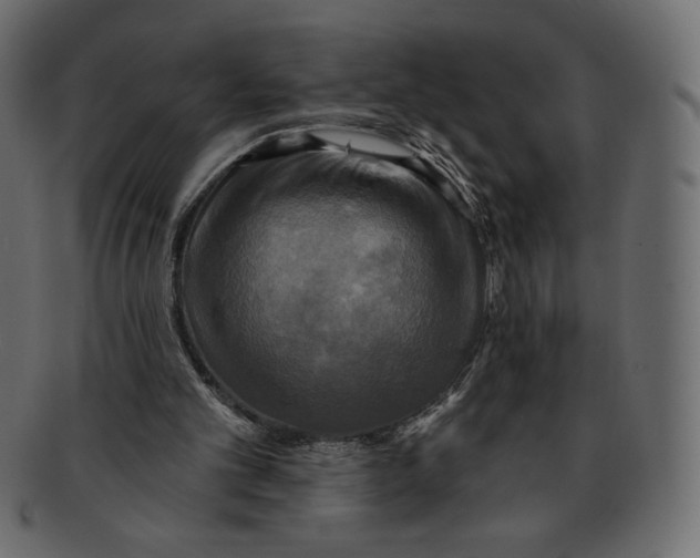 X0000091910101200710031027