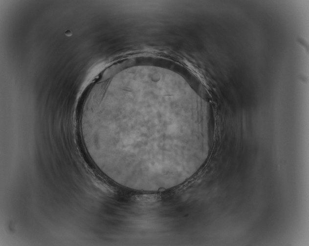 X0000091910102200710031027