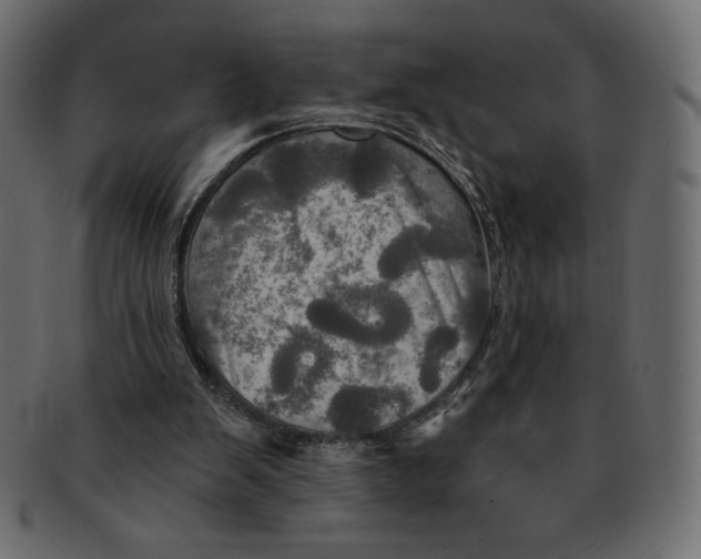 X0000091910103200710031027