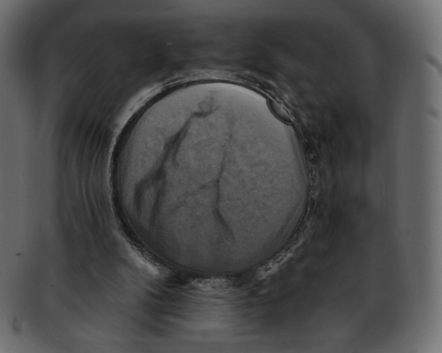 X0000091910104200710031027