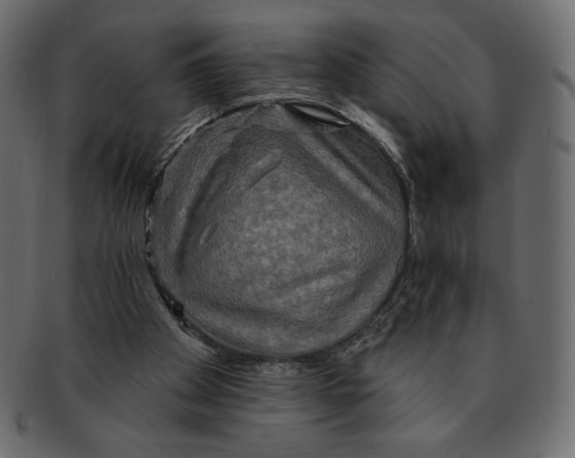 X0000091910105200710031027