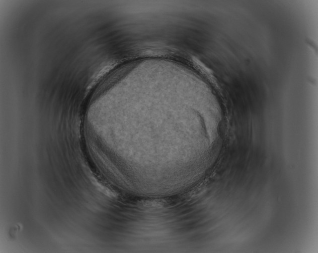 X0000091910106200710031027