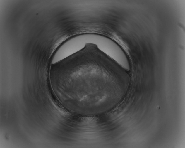 X0000091910107200710031027