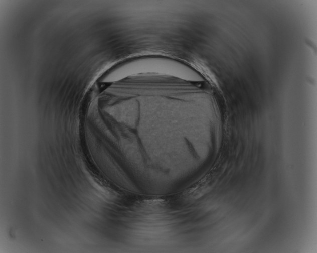 X0000091910108200710031027