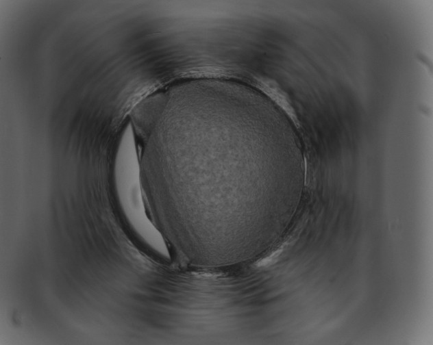 X0000091910109200710031027