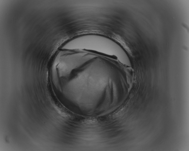 X0000091910110200710031027