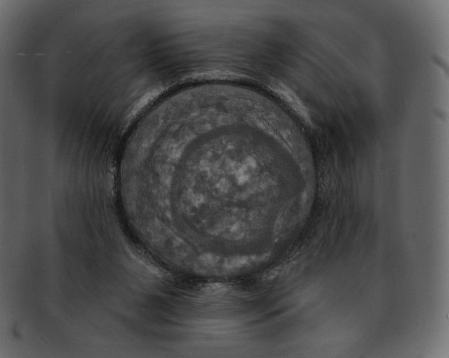 X0000091910111200710031027