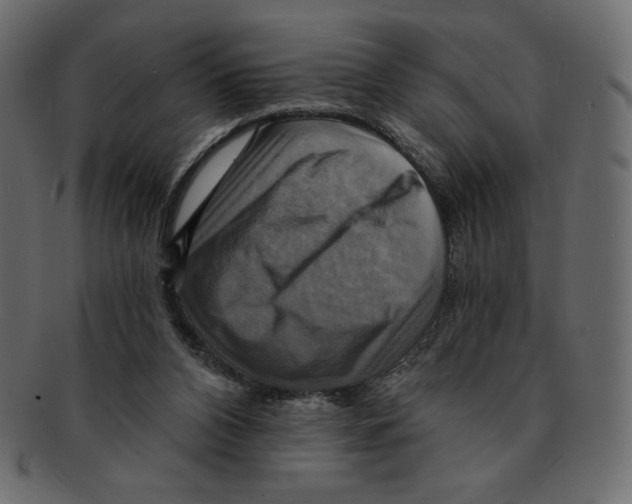 X0000091910112200710031027