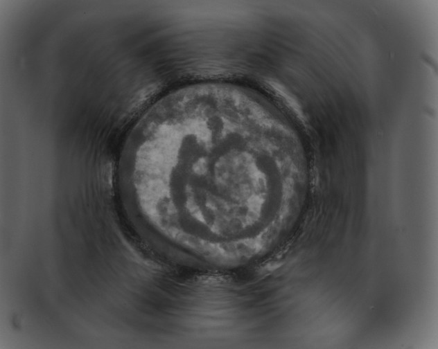 X0000091910115200710031026