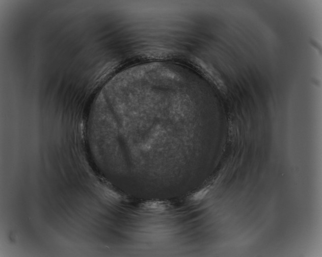 X0000091910117200710031026