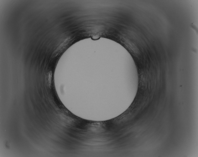 X0000091910118200710031026