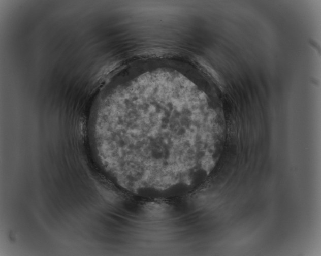 X0000091910119200710031026