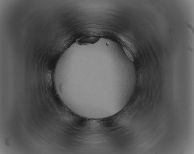 X0000091910121200710031026