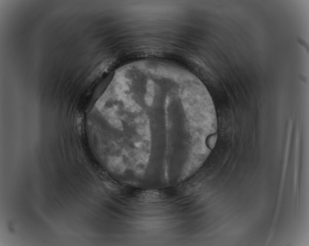 X0000091910123200710031026