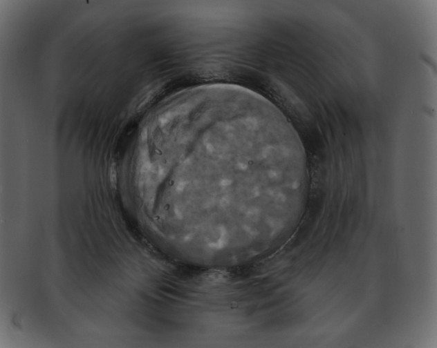 X0000091910124200710031026