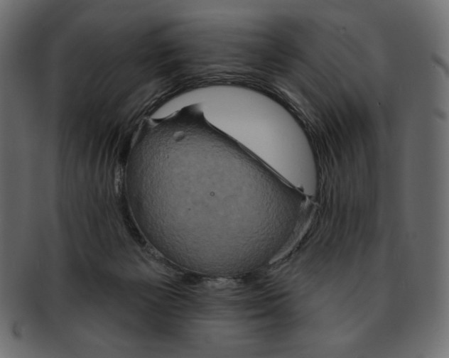 X0000091910125200710031026