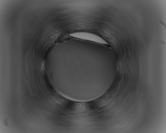 X0000091910127200710031026