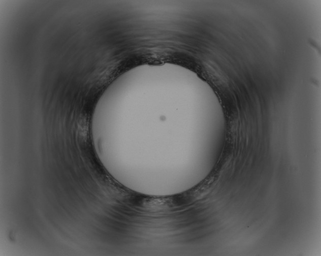 X0000091910129200710031026