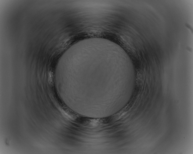 X0000091910130200710031026