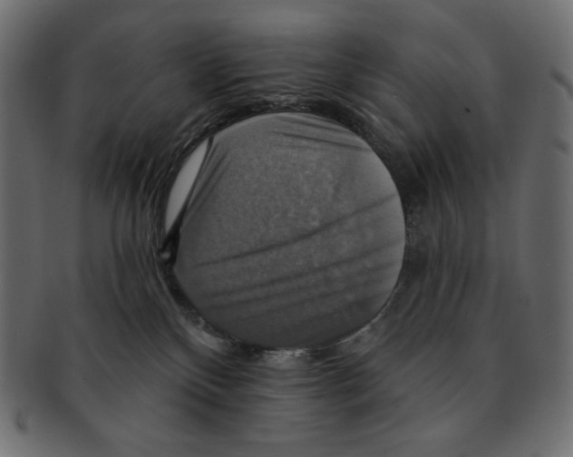 X0000091910136200710031026