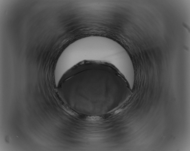 X0000091910137200710031026