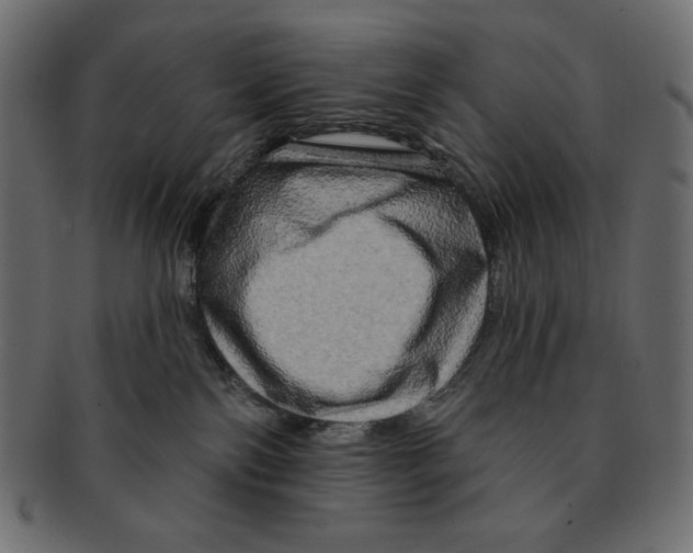 X0000091910138200710031026