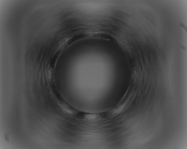 X0000091910139200710031026